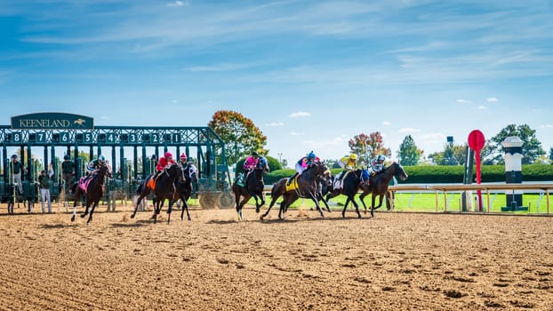 Keeneland, Lexington, Kentucky, October 18, 2023: Keenealand Fall Race Meet event, start of Race 4