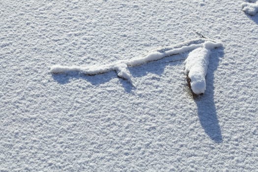 Snow-covered ice surface with tree branches, , Germany