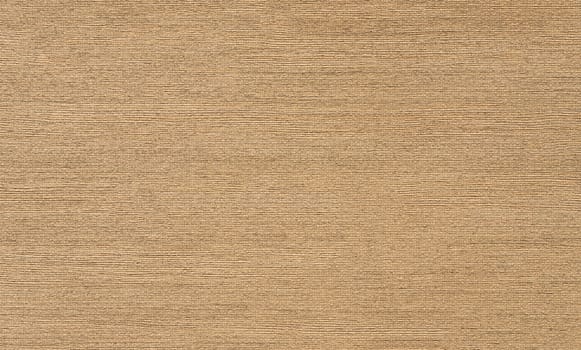 Background image with a textured rough brown surface in close-up