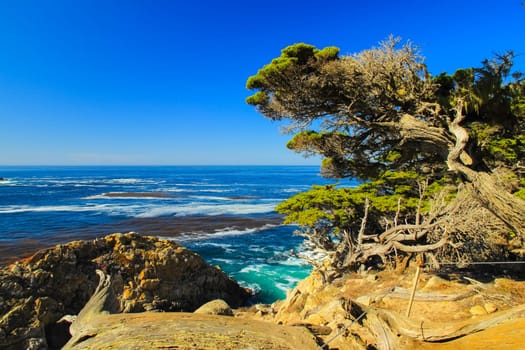 View of the Pacific Ocean in Big Sur, California