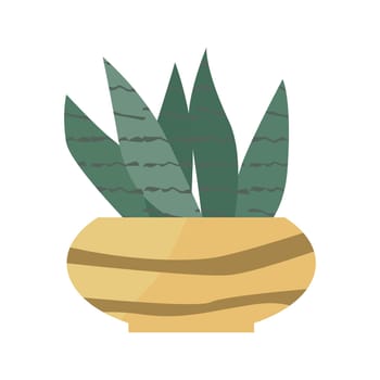 succulent icon flat style, Home plant in yellow golden pot. Vector illustration isolated. Can used for greeting card, banner, sticker, wallpaper, decoration banner and poster.