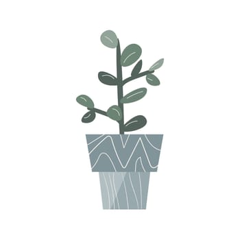 Succulent in flat style, Home plant in pot. Vector illustration isolated. Can used for greeting card, banner, sticker, wallpaper, decoration banner and poster. Home plant in decorative golden pot.