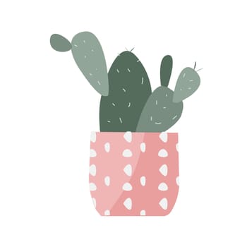 Cactus in flat style, Home plant cactus in pink pot. Vector illustration isolated. Can used for greeting card, banner, sticker. Home plant in decorative golden pot.