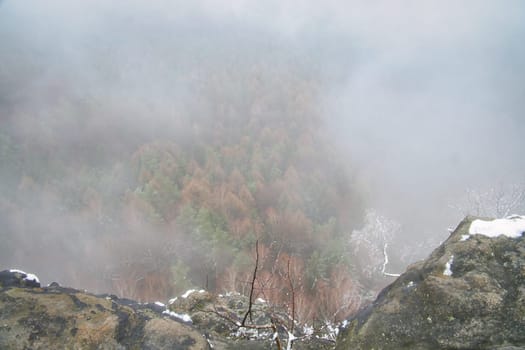 View from the large Zschirnstein into the valley of colorful conifers visible through the mist. Nature park in Saxon Switzerland in Germany