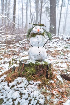 Snowman on a tree stump with a carrot for a nose, buttons, a branch for arms and pine needles for hair. In the snow-covered forest.