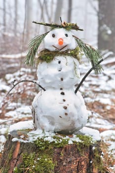 Snowman on a tree stump with a carrot for a nose, buttons, a branch for arms and pine needles for hair. In the snow-covered forest.