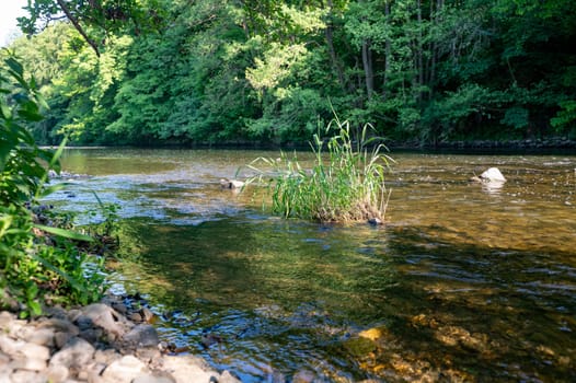 The Eder - A river in Germany in a green landscape