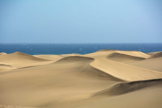 The dunes of Maspalomas on Gran Canaria in Spain, with sea and blue sky. The huge sand dunes resemble a small desert and are a nature reserve.,The dunes of Maspalomas on Gran Canaria in Spain, with sea and blue sky. The huge sand dunes resemble a small desert and are a nature reserve.