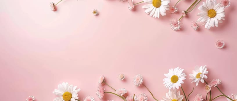 White daisies with sunny cores grace a blush pink canvas, their scattered arrangement creating a dance of shadows and light. This image is a celebration of delicate beauty and soft contrasts