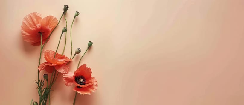 Soft pastel poppies bloom gently against a warm peach background, embodying subtle elegance and a serene aesthetic