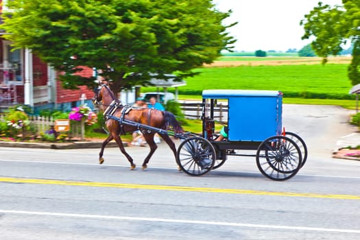 Lancaster, USA - July 13, 2010: A horse pulling a cart across the street