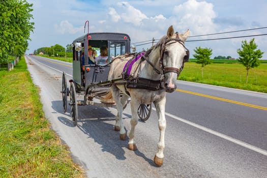 Lancaster, USA - July 13, 2010: A horse  cart of Amish people at the street in Lancaster, USA.