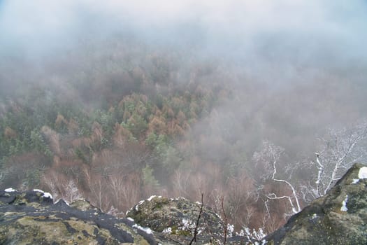 View from the large Zschirnstein into the valley of colorful conifers visible through the mist. Nature park in Saxon Switzerland in Germany
