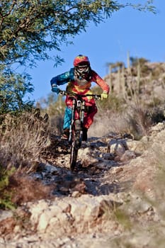 Tuscon, USA - November 11, 2011: downhill bike ride in Tuscon, USA. There are around 1,000 bicycle related deaths in the United States each year, 75% of which are due to head injuries.