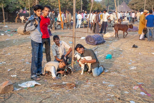 Delhi, India - November 10, 2011: young men selling small goats, animal babies at the Meena Bazaar in Delhi. Shah Jahan founded the bazaar in the 17th century.