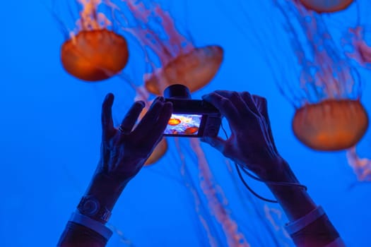Monterey, USA - June 22, 2012: people enjoy taking photos of the Jelly fishes in the aquarium.