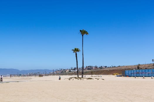 Redondo Beach, USA - June 24, 2012:  beautiful beach in Redondo beach  with two palm trees, Los Angeles, USA
