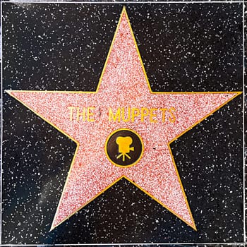 Los Angeles, USA - June 24, 2012:  The Muppets star on Hollywood Walk of Fame in Hollywood, California. This star is located on Hollywood Blvd. and is one of 2400 celebrity stars.