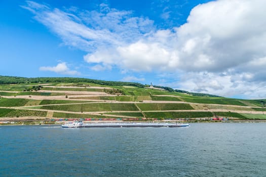 Bingen, Germany - September 15, 2013: freight ship passes the vineyards at the Niederwald memorial at river Rhine in Bingen, Germany. The lovely rhine valley is a world heritage site.