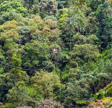 Sumaco Galeras, Equador - April 29, 2014: man crosses the river Rio Mindo with a rope bridge at Sumaco Galeras. River Mindo, runs through cloudforest at 1,400m elevation.