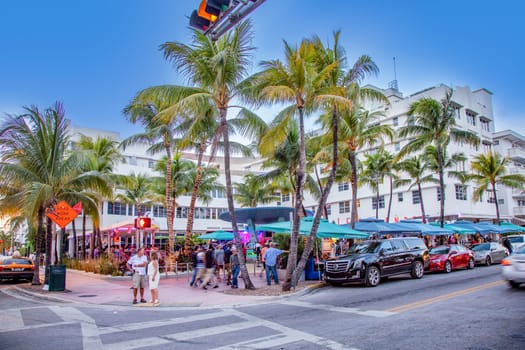 Miami, USA - August 23, 2014: Palm trees and art deco hotels at Ocean Drive by night. The road is the main thoroughfare through South Beach in Miami, USA.