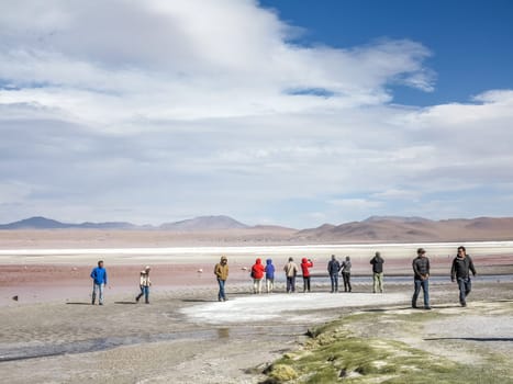 Hedionda, Chile - November 10, 2015: people visit Pink flamingos in wild nature of Bolivia, Eduardo Avaroa National Park, South America