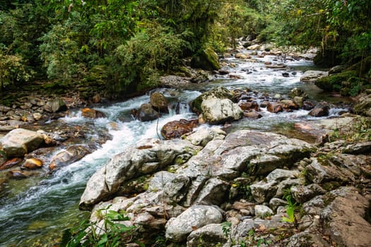 Small river in jungle. Hard trek to hidden ancient ruins of Tayrona civilization Ciudad Perdida in Colombian jungle. Santa Marta, Sierra Nevada mountains, Colombia wilderness landscape.