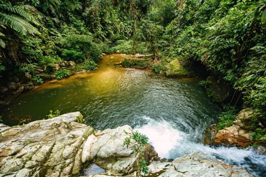 Small natural pond in jungle. Hard trek to hidden ancient ruins of Tayrona civilization Ciudad Perdida in Colombian jungle. Santa Marta, Sierra Nevada mountains, Colombia wilderness landscape.