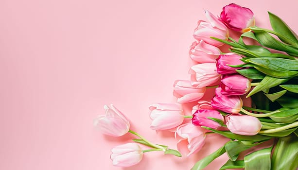 tulips bouquet on pink background with copyspace