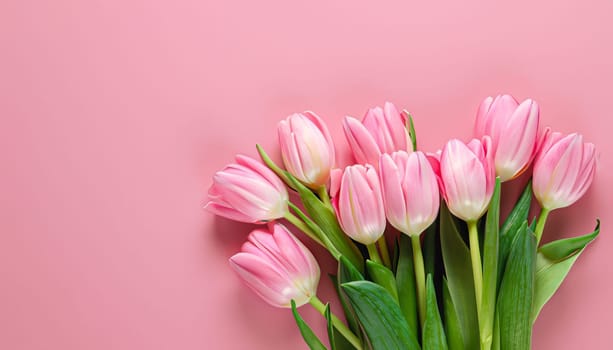 tulips bouquet on pink background with copyspace