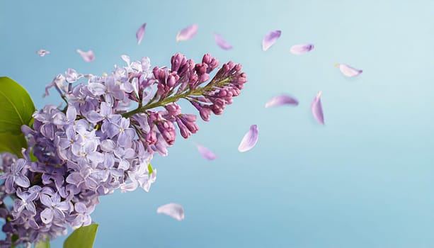 Floral banner with a sprig of lilac and flying petals on blue background, copy space