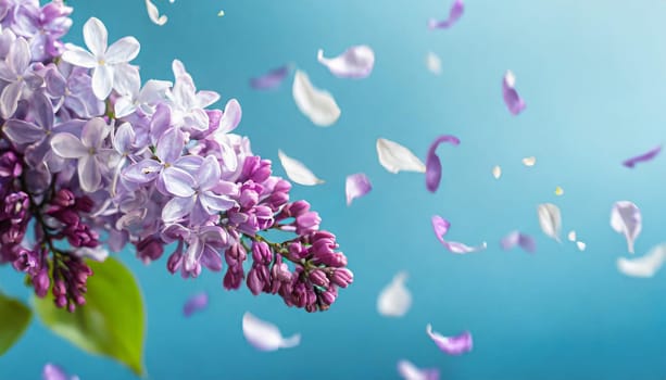 Floral banner with a sprig of lilac and flying petals on blue background, copy space