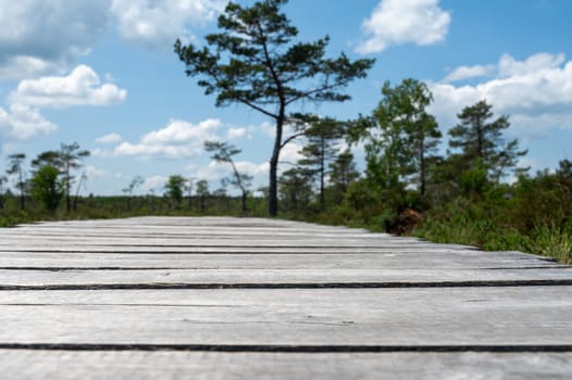 Wooden path in the foreground with blurred background of a green moorland landscape