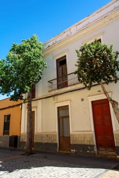 Old house with balcony and a tree in Spain on the Canary Island of Gran Canaria