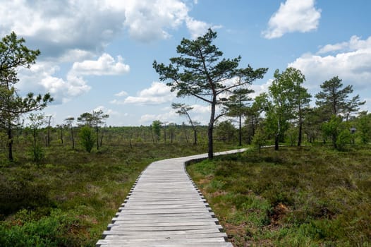 Black moor in the Rhoen, Bavaria, Germany, with a new moor path