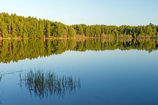Calm Waters in the Early Morning on Mountain Lake in the Sylvania Wilderness in Michigan