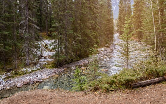 Stunning view of Johnston Canyon trail in Banff National Park, Alberta, Canada