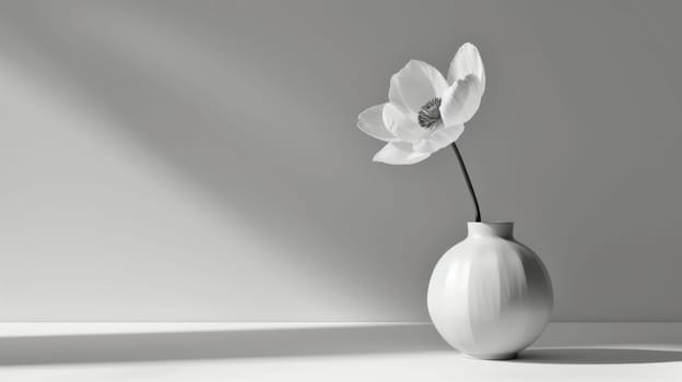 Still life of white flower. Copy space. Created using AI generated technology and image editing software.