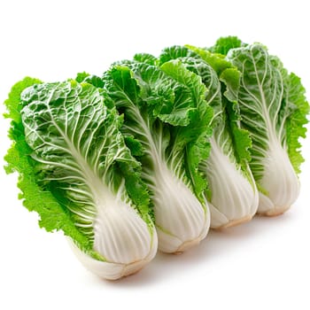 Chinese Chinese cabbage on white isolated background AI generated image