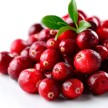 Cranberry berry on white isolated background AI generated image
