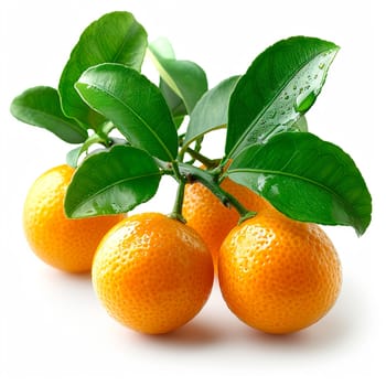 Clementines, citrus fruits on white isolated background AI generated image