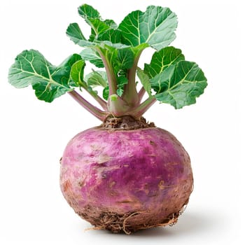 Kohlrabi vegetable on white isolated background AI generated image