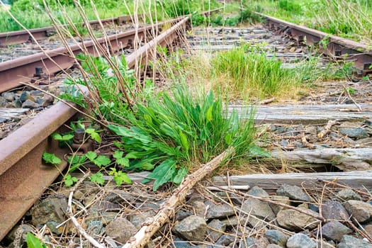 Former Darßbahn train line in Bresewitz, just before the Meiningen Bridge to the Fischland-Darß peninsula, Mecklenburg-Western Pomerania, Germany