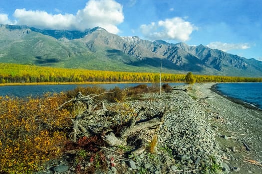 Autumnal nature on Lake Baikal. Landscape and flora of Baikal