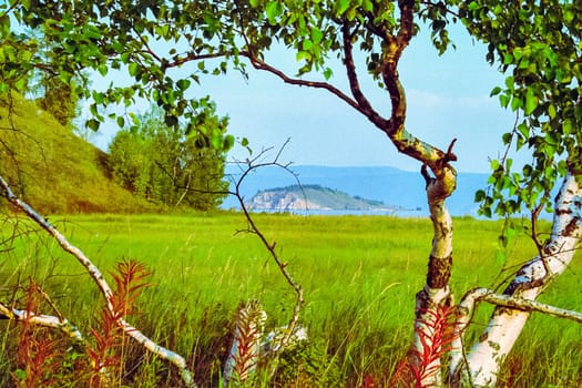 Autumnal nature on Lake Baikal. Landscape and flora of Baikal
