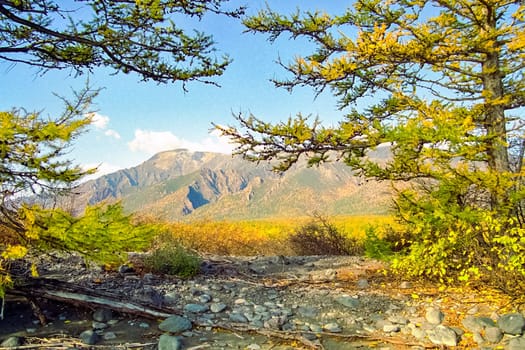 Autumnal nature on Lake Baikal. Landscape and flora of Baikal