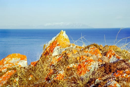 Autumnal nature on Lake Baikal. Landscape and flora of Baikal