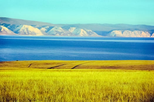 Autumnal nature on Lake Baikal. Landscape and flora of Baikal