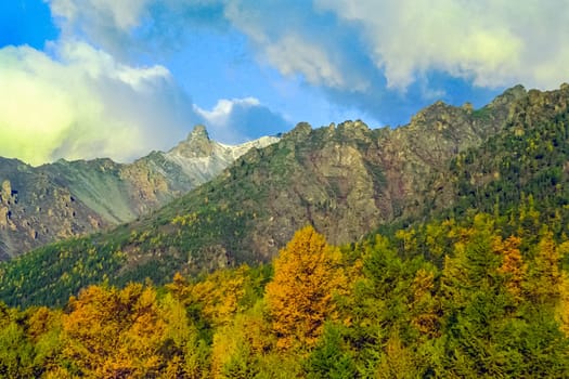 Autumnal nature on Lake Baikal. Landscape and flora of Baikal