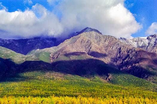 Autumnal nature on Lake Baikal. Landscape and flora of Baikal
